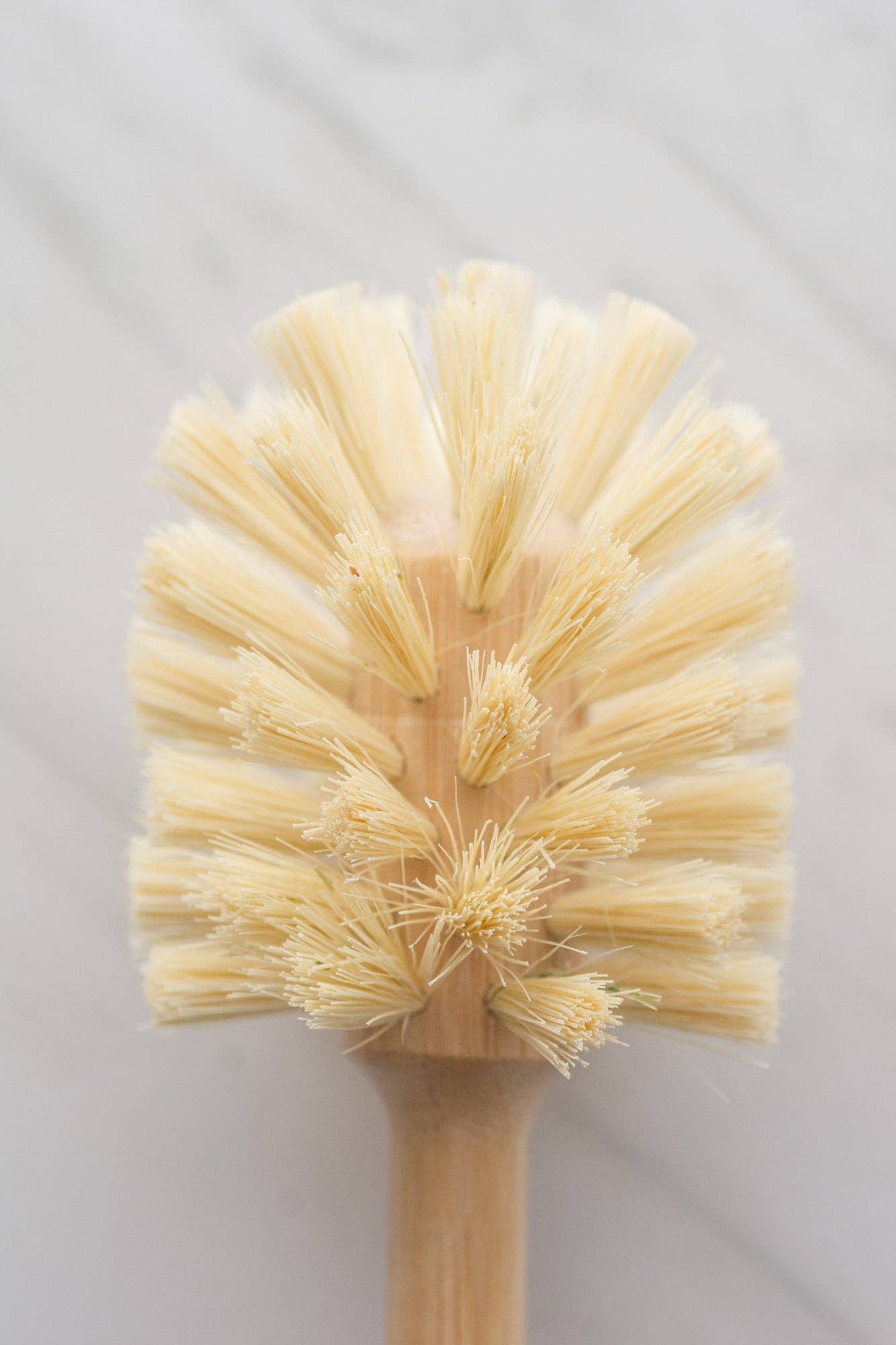 CASA AGAVE® Sphere Dish Brush - No Tox Life